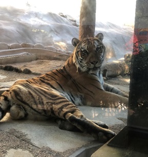 ジョブボイス用写真②
