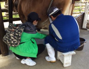 もーもー乳しぼり井村